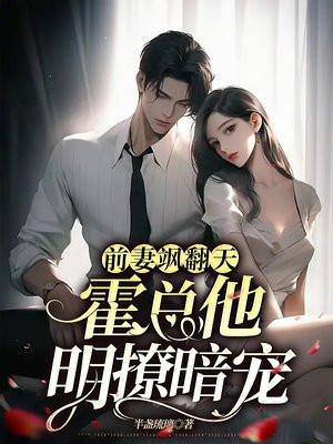 前妻再嫁我一次霍司爵免费阅读全文