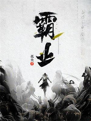 霸业卡包