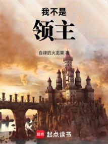 我不是领主TXT免费