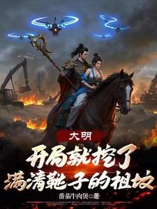 大明开局灭了满清免费爱看书