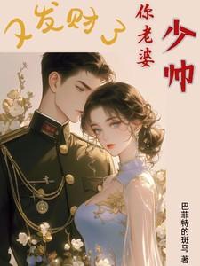 少帅你老婆又跑了电视剧
