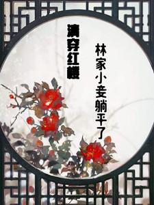 清穿 红楼林家长女