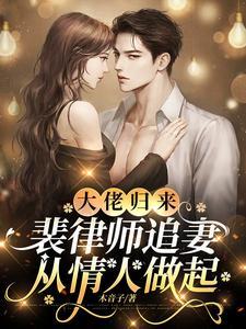 裴律师追妻从情人做起免费全文