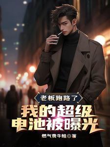 超级老板pro版是什么平台