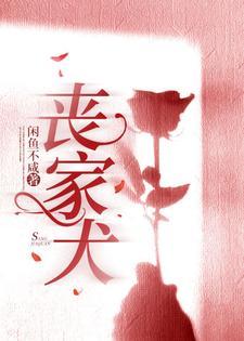 丧家犬免费阅读全文