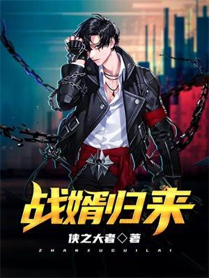 战婿归来 绯雨