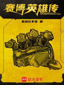 赛博英雄传作者