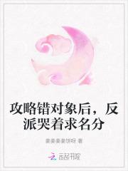 攻略错了对象怎么办txt