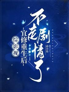 综影视之宜修的儿子