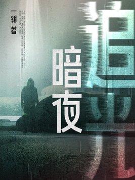 暗夜追光者短剧