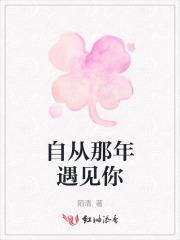 自从遇到你的那天起是什么歌
