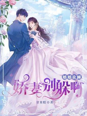 宠妻要上天