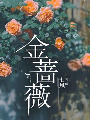 金蔷薇珍贵的尘土