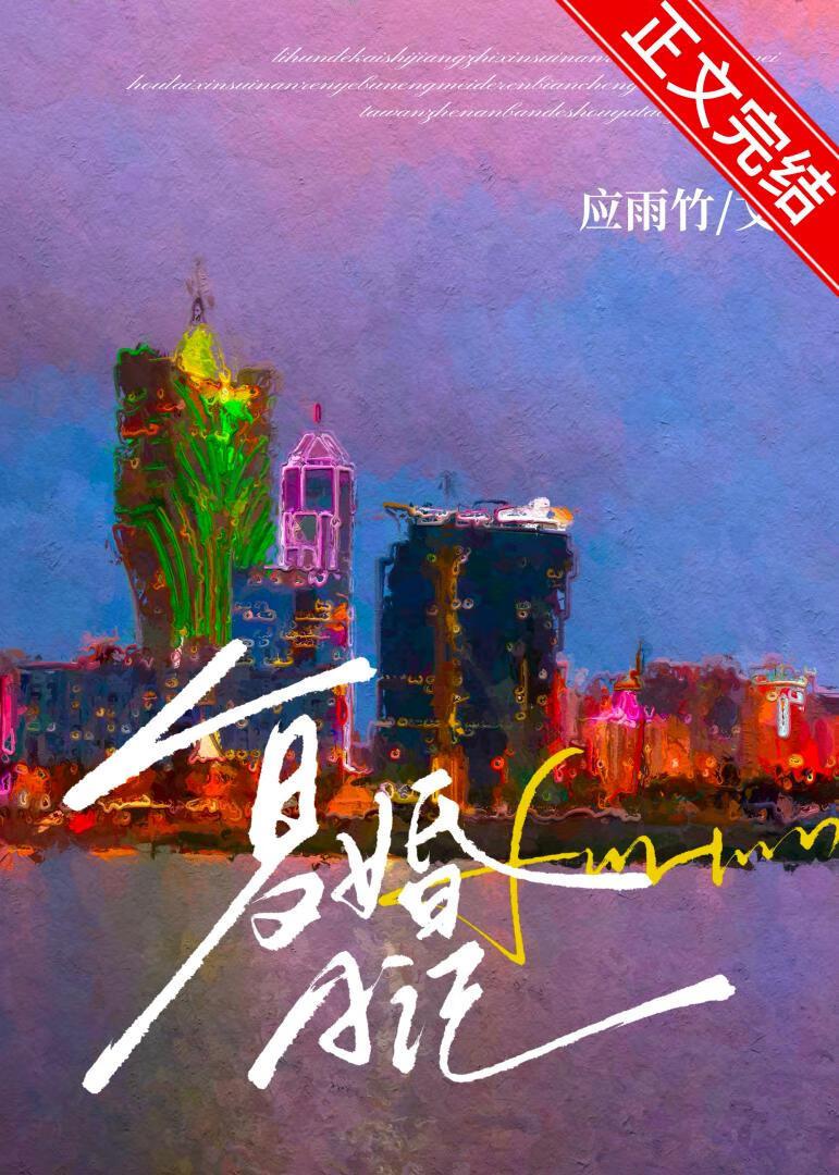 复婚日记讲什么