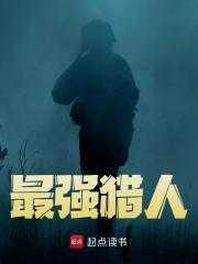 我独自升级最强猎人