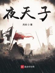 夜天子有第二部吗?